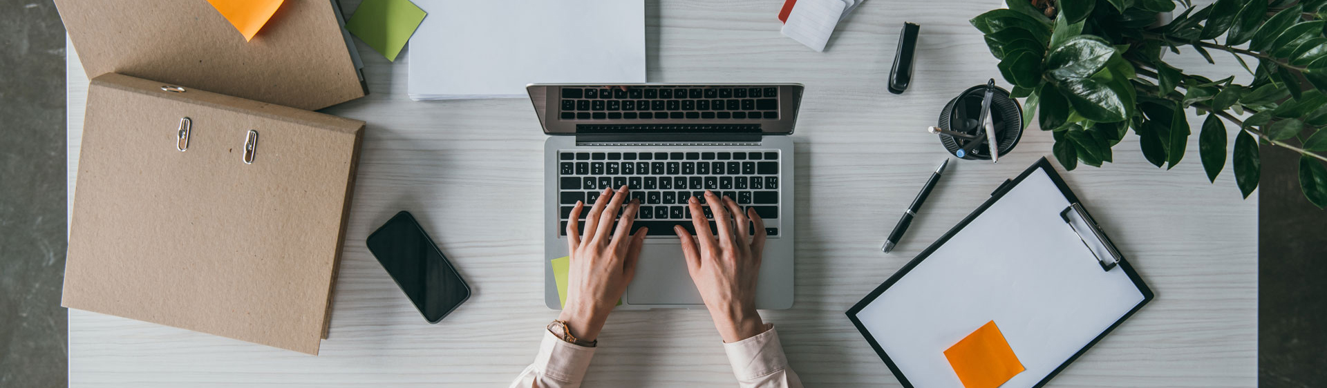 Best Travel Agent in Katra