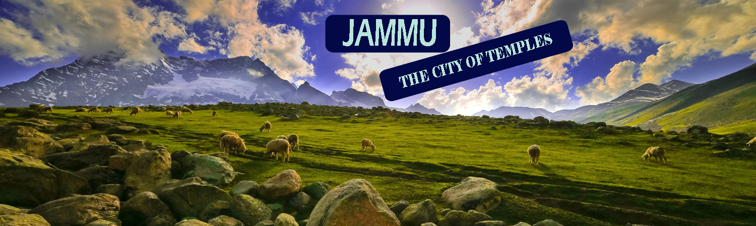 Best Travel Agency in Katra