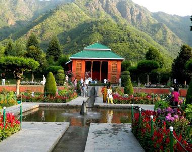 Best Travel Agents in katra