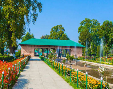 Best Travel Agency in Katra